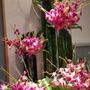 Faith Floral And Gifts