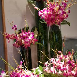 Faith Floral And Gifts