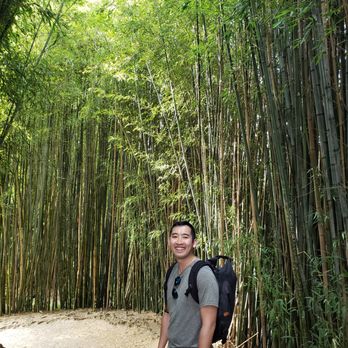 Hamilton Gardens - Chinese Gardens - Parks Near Me - Hamilton, AUK