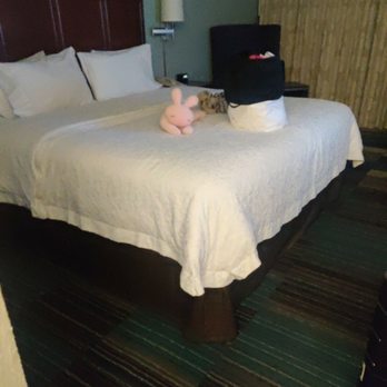 Hampton Inn Tucson-Airport - Inviting bed - Hotels Near Me - Tucson, Arizona Hampton Inn Tucson-Airport - Inviting bed - Hotels Near Me - Tucson, Arizona