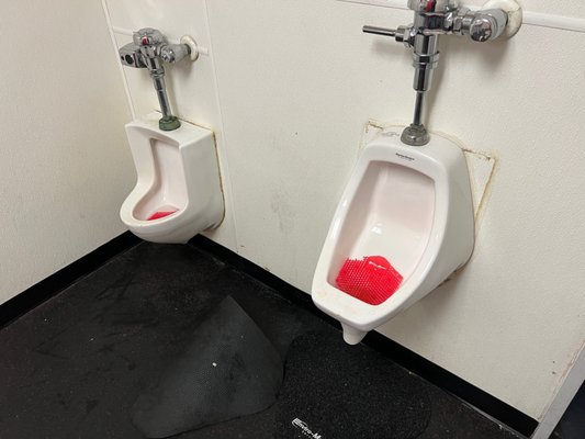 POLAR ICE CARY - Updated May 2025 - 30 Photos & 43 Reviews - 1410 Buck ...