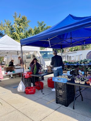 Palisades Farmers Market by null