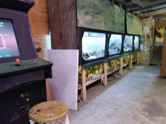 Abita Mystery House / UCM Museum by null