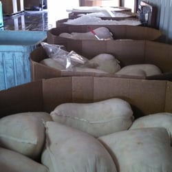 B&C Seafood - Fresh sea scallops just unloaded.