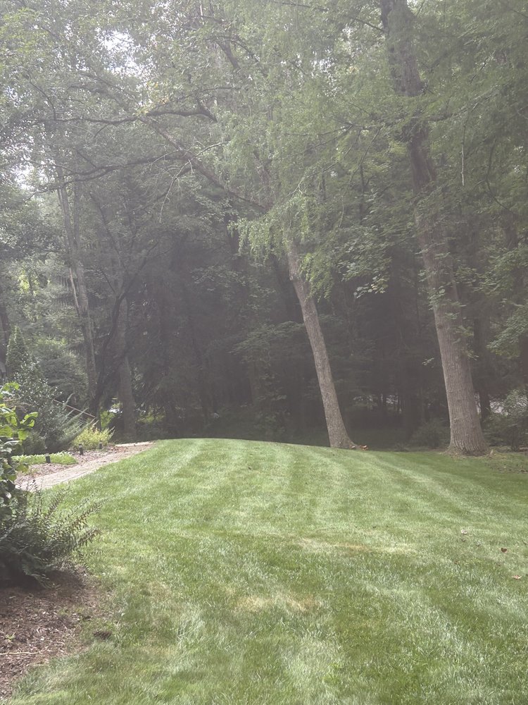 Slide of Db's Landscaping
