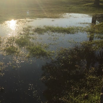 Emerald Bay Golf Club - Serious? This is a health hazard with this standing water. - Golf Near Me - Destin, Florida