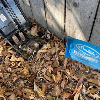 Smith's Pest Management - Rat station - Pest Control Near Me - San Jose, California Smith's Pest Management - Rat station - Pest Control Near Me - San Jose, California