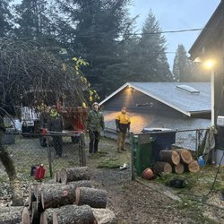 Integrity Tree Works