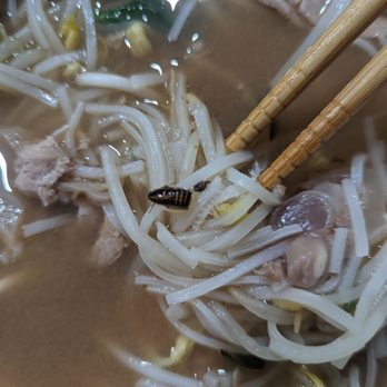 Pho Saigon - Pho Dac Biet with a sprinkle of roaches - Vietnamese Near Me - Austin, Texas