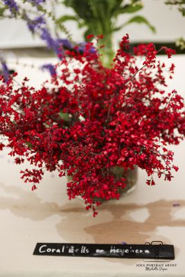 Baker Creek Heirloom Seed Company by null