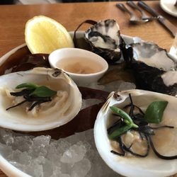 Whitebait - Clams and oysters,...