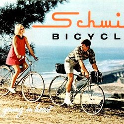 Countryside Bicycling - We carry many brands of bikes. Raleigh, Fuji, GT, Schwinn, Diamandback, Cinelli & more!