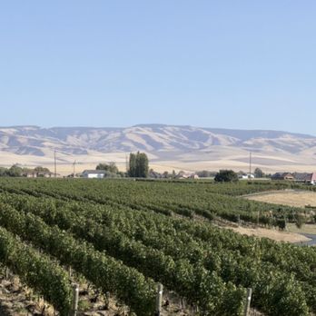 NW Touring & Concierge - The legendary view from Pepperbridge. - Wine Tours Near Me NW Touring & Concierge - The legendary view from Pepperbridge. - Wine Tours Near Me