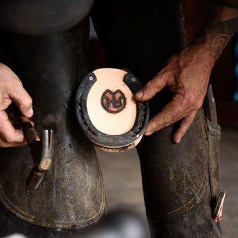 Rinaldo Horseshoeing - Farriers Near Me - Harvard, Illinois