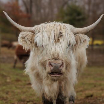 Picture Perfect Ranch - Attraction Farms Near Me - Lancaster, Ohio