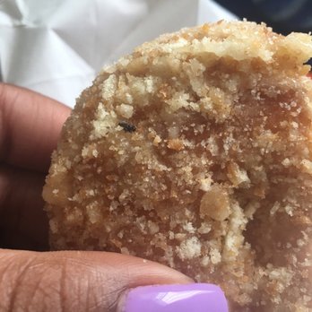 World's Fare Donuts - Dead fly on my donut. So grossed out. - Donuts Near Me - Hayward, California World's Fare Donuts - Dead fly on my donut. So grossed out. - Donuts Near Me - Hayward, California