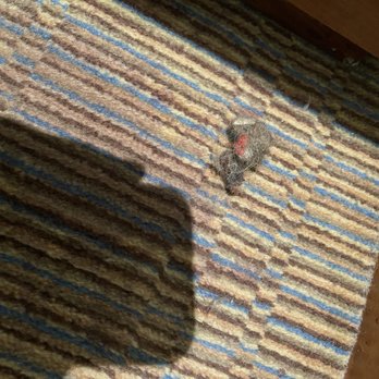 Sofitel London Heathrow - Closer look dirty - Hotels Near Me - Hounslow, XGL