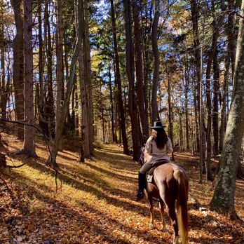 Westchester Trail Rides - Horseback Riding Near Me - Croton-on-Hudson, New York Westchester Trail Rides - Horseback Riding Near Me - Croton-on-Hudson, New York