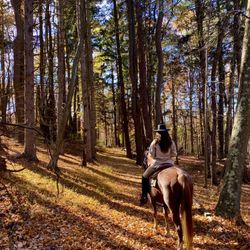 Westchester Trail Rides