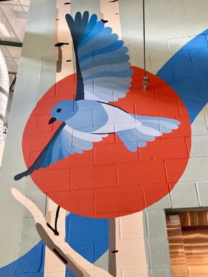 Bluebird Market by null