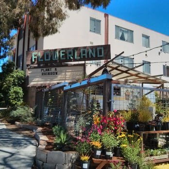 Flowerland - Plant a rainbow! - Nurseries & Gardening Near Me - Albany, California