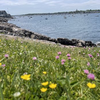 Marblehead Lighthouse - Wildflowers, rocky shore, ships, and Marblehead Harbor - Landmarks & Historical Buildings Near Me - Marblehead, Massachusetts