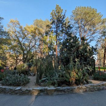 Capitol Park - Gorgeous view in the park - Parks Near Me - Sacramento, California Capitol Park - Gorgeous view in the park - Parks Near Me - Sacramento, California