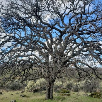 Sacramento River Bend Area - Parks Near Me