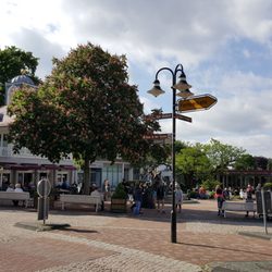 Jungbrunnen