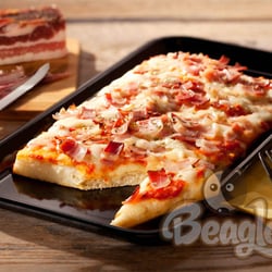Beagles