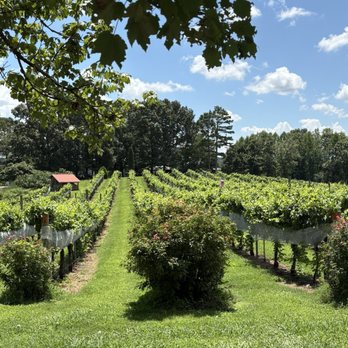 Overmountain Vineyards - Wineries Near Me - Tryon, North Carolina Overmountain Vineyards - Wineries Near Me - Tryon, North Carolina