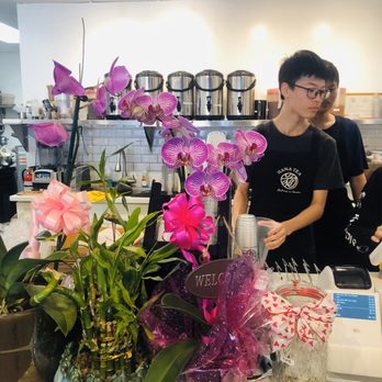 Hana Tea - Bubble Tea Near Me - Honolulu, Hawaii Hana Tea - Bubble Tea Near Me - Honolulu, Hawaii