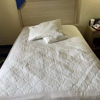Red Carpet Inn - She threw everything off the bed. - Hotels Near Me - North Chicago, Illinois Red Carpet Inn - She threw everything off the bed. - Hotels Near Me - North Chicago, Illinois