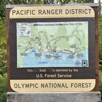 Quinault Rain Forest - 8/2025- map - Parks Near Me - Amanda Park, Washington Quinault Rain Forest - 8/2025- map - Parks Near Me - Amanda Park, Washington