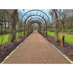 Botanischer Garten u. Rhododendronpark - Gang im Park