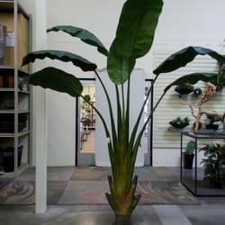 International Plantworks