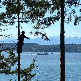 Timber Topper - Removing trees on the water in Port Ludlow and got to see the submarine pass through. - Tree Services Near Me - Hansville, Washington Timber Topper - Removing trees on the water in Port Ludlow and got to see the submarine pass through. - Tree Services Near Me - Hansville, Washington