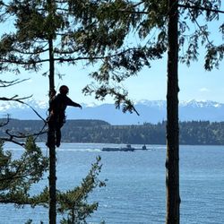 Timber Topper - Removing trees on the water in Port Ludlow and got to see the submarine pass through.