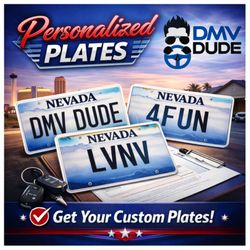 The DMV Dude - Personal Plates