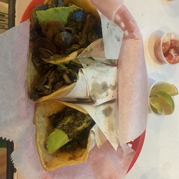 The Taco Stand - MUSHROOM TACO - Mexican Near Me - Miami, Florida