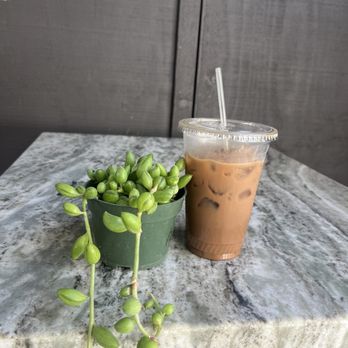 Succulent Coffee - Coffee & Tea Near Me - Oceanside, California