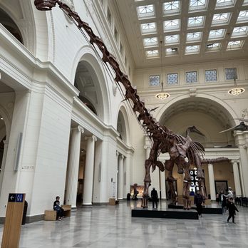 Field Museum - Museums Near Me - Chicago, Illinois
