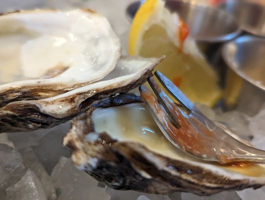 Martini's Seafood House by null