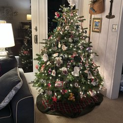 Kolarik Christmas Tree Farm - Last year's tree