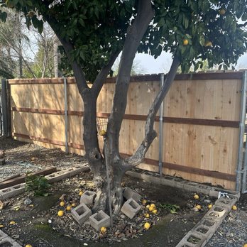 Ed and Eddy Fencing - Another view of their work! - Fences & Gates Near Me Ed and Eddy Fencing - Another view of their work! - Fences & Gates Near Me