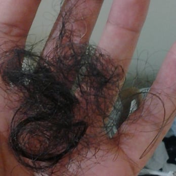 Gorgeous Cuts - Asked for a 1 on the sides and got 1 hairball in my hand. Accidents happen I guess :/ - Hair Salons Near Me - Glendale, California