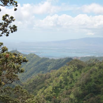 Bowman Trail - Hiking Near Me - Honolulu, Hawaii