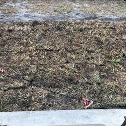 From the concrete to the sandy area is the "new sod" I was given. Sorry, but this doesn't seem right From the concrete to the sandy area is the "new sod" I was given. Sorry, but this doesn't seem right