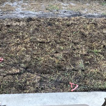 Lake Jem Farms - From the concrete to the sandy area is the "new sod" I was given. Sorry, but this doesn't seem right - Landscaping Near Me - Mount Dora, Florida Lake Jem Farms - From the concrete to the sandy area is the "new sod" I was given. Sorry, but this doesn't seem right - Landscaping Near Me - Mount Dora, Florida