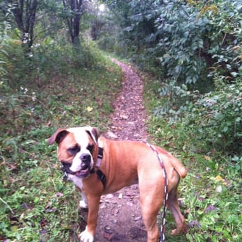 Olson Park - Nature trails! Good for walking or mountain biking. - Parks Near Me - Ann Arbor, Michigan
